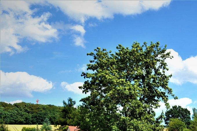 große Liegewiese